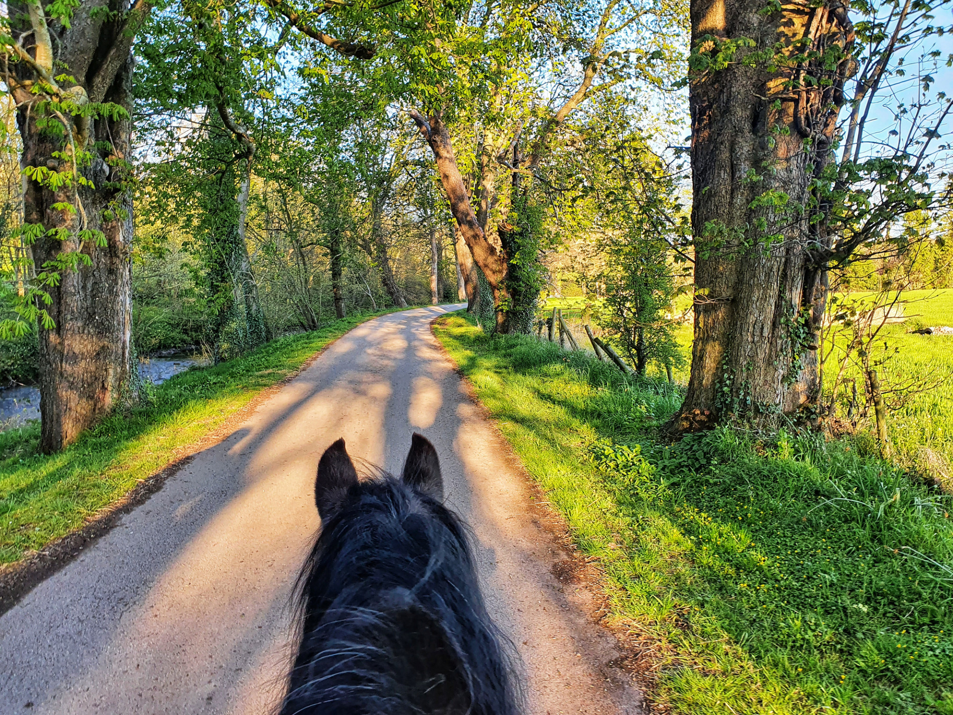 Equitazione in sicurezza: passeggiata a cavallo