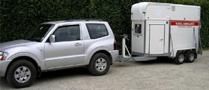 001 mini 1