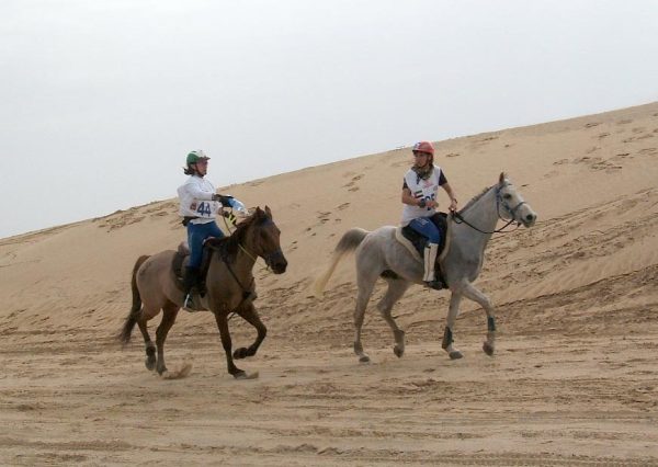 09 dubai e