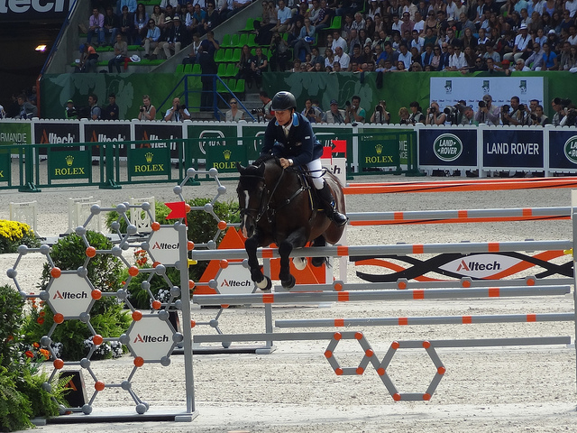 FEI Ranking: Rolf-Goran Bengtsson and Casall Ask ranked as the best pair. Italy's Gaudiano in 15th. 1 15206000775 5738afa2a1 z
