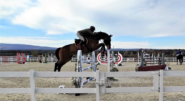 Sardegna Jumping Tour 2021: Simone Coata subito in evidenza a Tanca Regia 1 1FAE6A55 3BD2 4F68 BA04 FFFC3898B13D