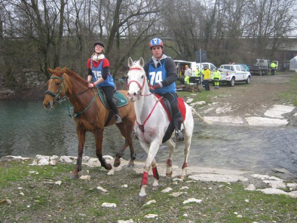20 2 011 Malerba 062