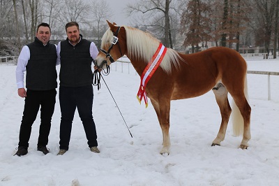 3 Arjen BcBarbaraSchneider 1