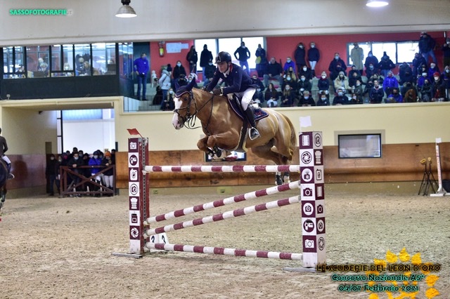 Nazionale A5* Truccazzano, Stefano Sacchi e Aladin Du Gast vincono il Gran Premio C145 1 52E6EBC8 D952 40D7 A0CC 614CF1296016