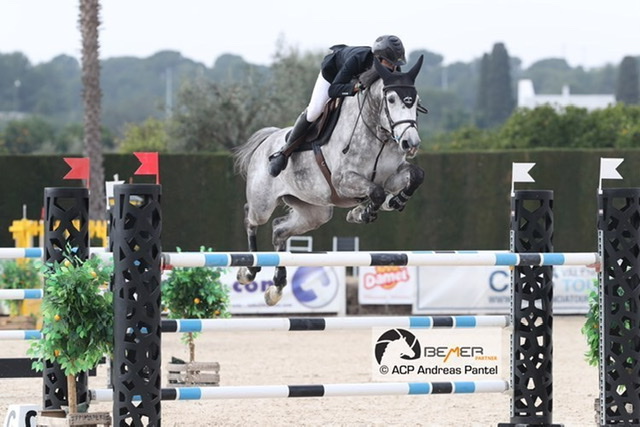 Edward Levy conquista il primo posto nella 1m45 del CSI3* di Valencia 1 55E5C734 AFB9 481E 9A86 ED061CCEEA75