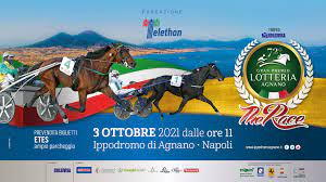 72° Gran Premio Lotteria. Il sorteggio dice bene a Zacon Giò vincitore edizione 2020 1 72° Lotteria