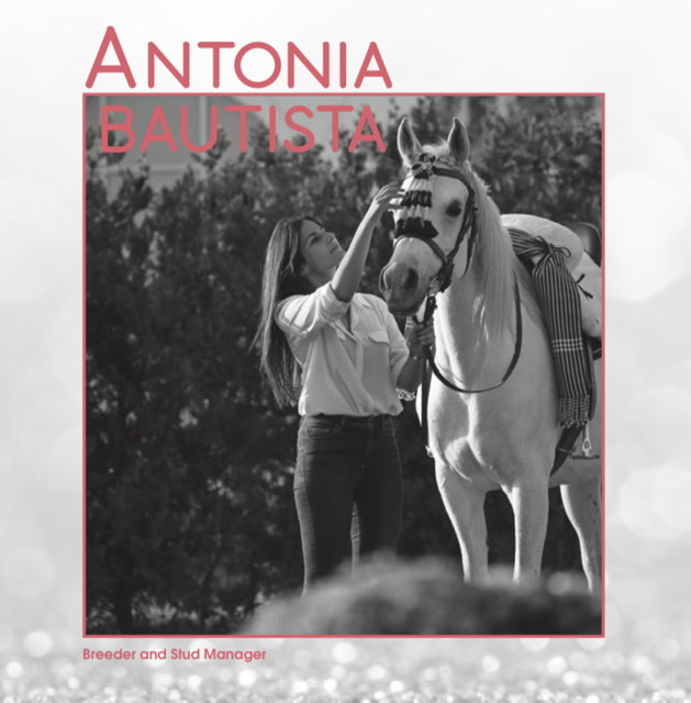 Arabian Horses: We, women - Antonia Bautista 1 92132494 DF13 4873 86A9 BA903F108767