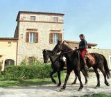 97549 passeggiataCavallo