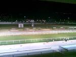 61° Gran Premio Lotteria. 70 i cavalli segnalati 1 Agnano1