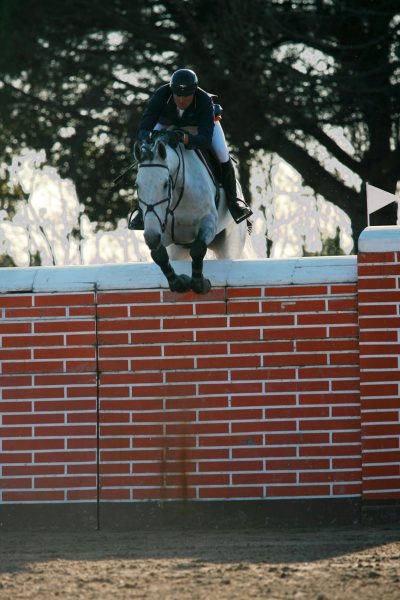 Alfonso Challange Z