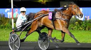 Nel Prix du Bois de Vincennes la speranza di Ampia Mede Sm 5 Ampia