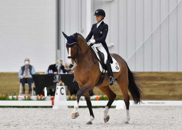 Dressage: Anne Gribbons e Nora Batchelder Score vincono al World Equestrian Center Dressage VIII 1 Anne Gribbons dressage Andrew Ryback foto. 0