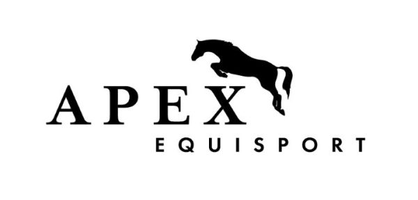 ApexLogo 0