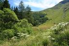 Riding ‘adagio’ in the Bolognese Appennines 1 Appennino bolgnese 1