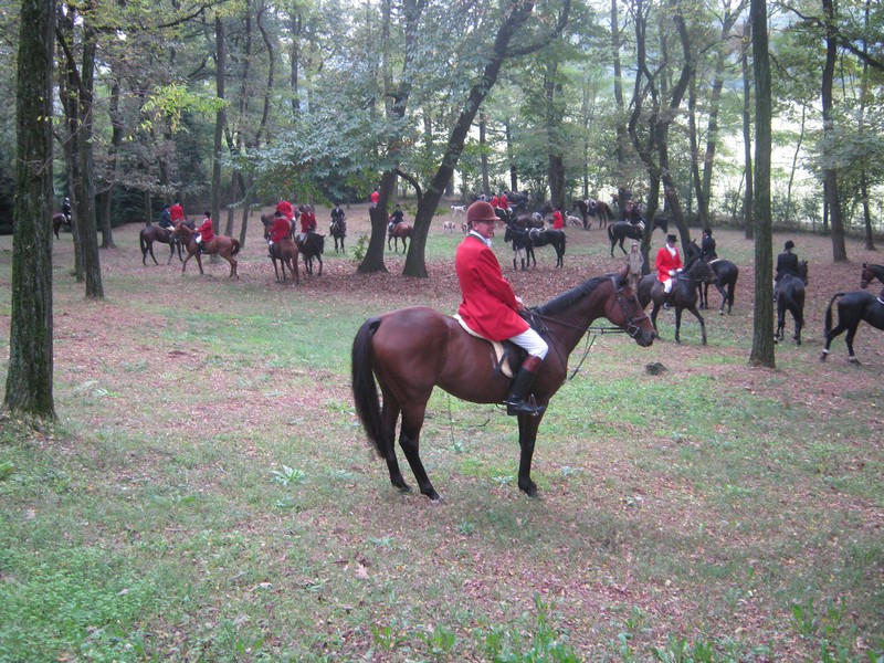 La Milanese Equitazione di campagna in Piemonte ad Arborea 1 Arborea 011 Borgoticino 010 ottobre Prinetti IMG 0510 1
