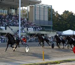Ippica. Giovedì da leoni all'Arcoveggio. Test per il Gran Premio Italia. 1 Arcoveggio 32