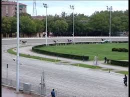 Arcoveggio 37