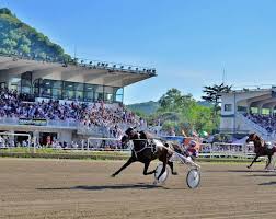 Arrivo Lotteria 1