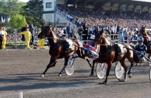 Arrivo Trotto Agnano 0