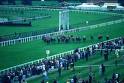 Il Watership Down stud 2009 apre il Festival di Ascot. 1 Ascot 1 1