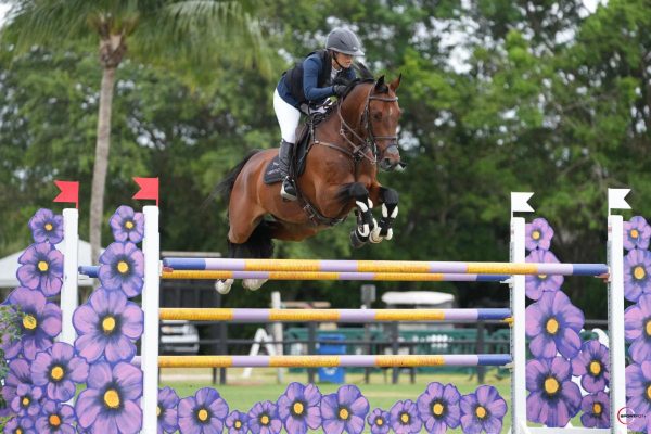 Ashlee Bond and Donatello 141 ©Sportfot