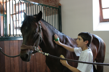 Attivita Summer Pony Centro del Cavallo FOTO CON LIBERATORIA