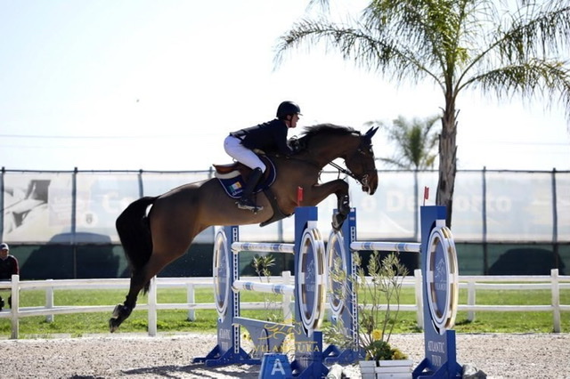 Il cavaliere irlandese Michael Pender splende al CSI3* di Vilamoura 1 B81447F6 B9BC 4DE3 9FB6 4035563AE3CA