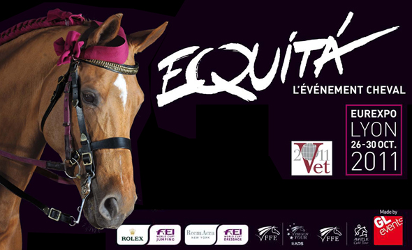 BANNER EQUITA 2011 1 1