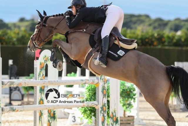 Prima giornata del CSI2* di Valencia, primo posto per Rose de Balanda su Tzara Belin 1 BD948539 814D 4328 B527 5BE8E1555F8A