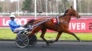 Bel Avis Bazire