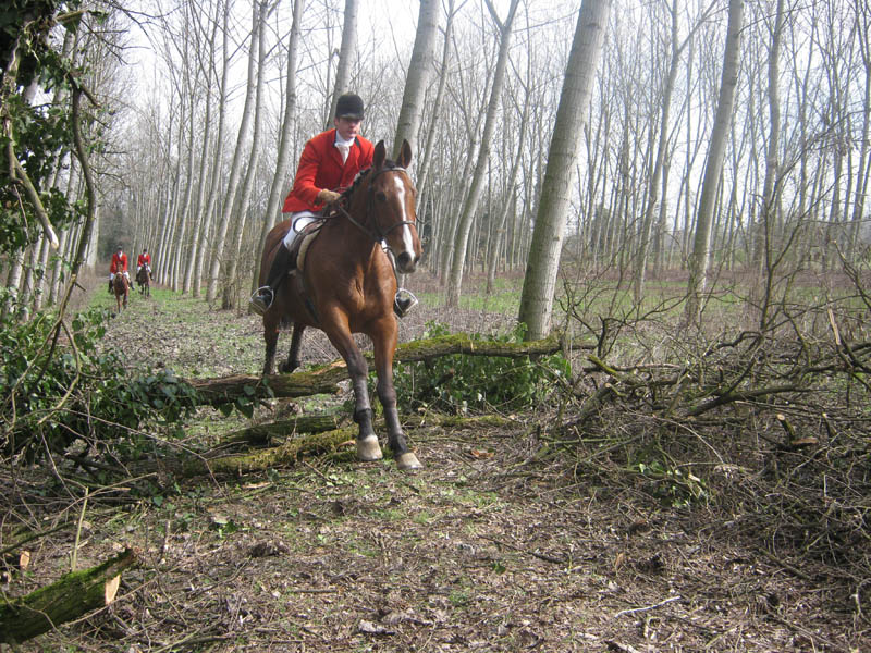 Hunt season underway near Novara 1 Berlingeri Caccia Boscone 10