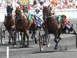 Nel Prix de Bretagne inizia il cammino di Zacon Giò verso l'Amerique. 5 Bretagne