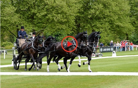 Royal Windsor Horse 2018 in live streaming e su Eurosport 1 Broadcast RWHS