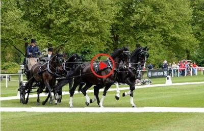 Broadcast RWHS.preview 0