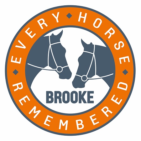 Brooke EHR logo