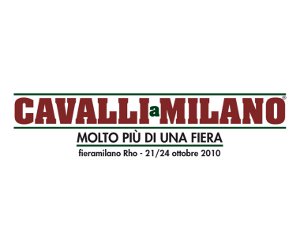CAVALLIaMILANO a stelle e strisce 1 CAVALLIaMILANO300X250 3