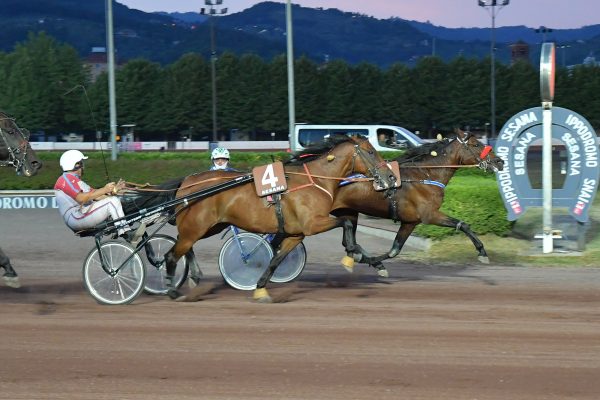 Corsa di trotto all'Ippodromo Snai Sesana