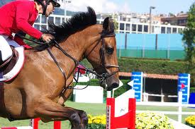 CSIO Barcelona