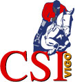 CSIVIGO LOGO