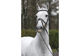 Cabrio vd Heffinck VEIL14Y138