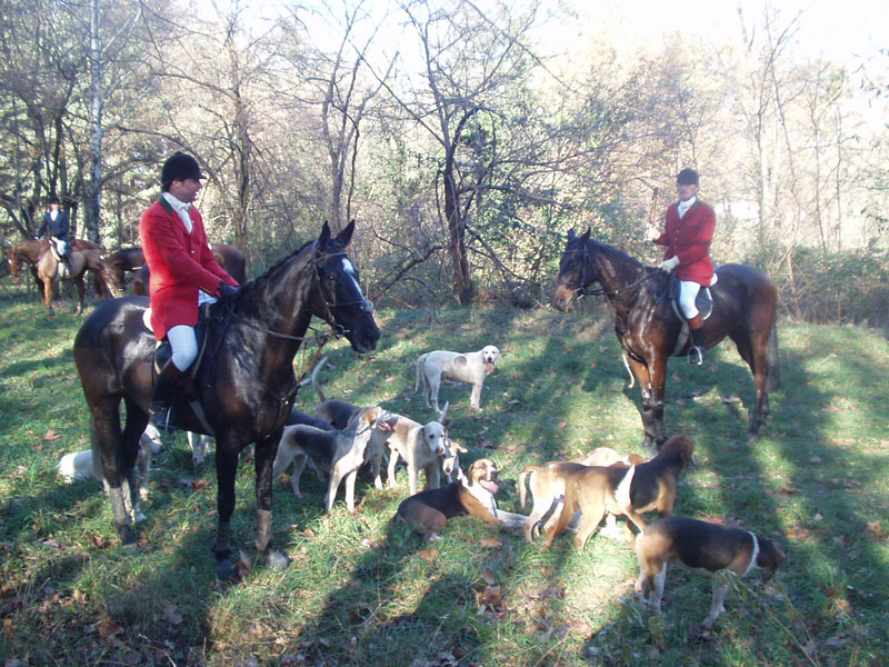 Draghunting near Milan 1 Caccia Moncrivello 08 38 8 1