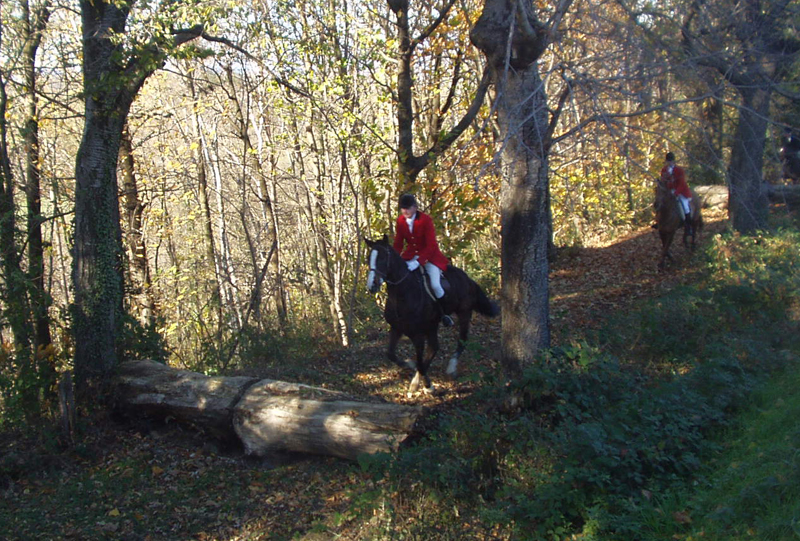 Splendid Draghunting at Villa Calvi di Monte Solaro 1 Caccia Montesolaro 08 38 19