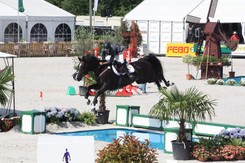 Campionati europei YRJ Olanda.2