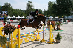 Campionati europei YRJ Olanda