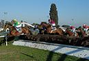 Capannelle Grande Steeple 1