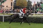 Capannelle cavallo 0