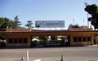 Torna il sole a Capannelle. 1 Capannelle 8