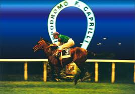 Caprilli, the captain who changed horseriding 1 Caprilli 2 1
