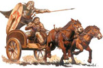 Sfilate, carrozze e Equitazione americana 1 Carro 4