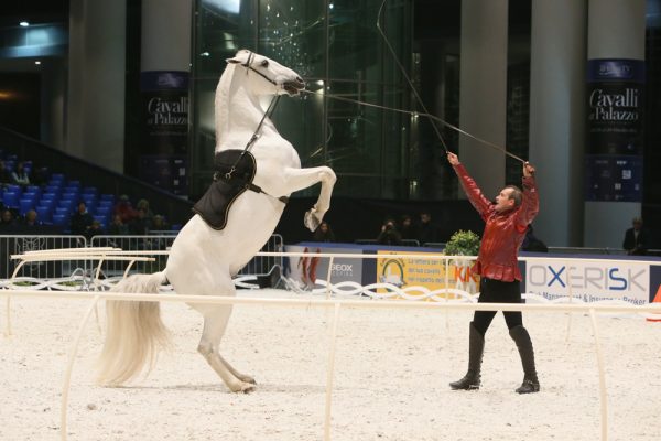 Cavalli a Palazzo show ClassHorseTV
